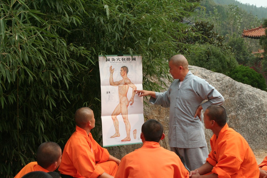 Maitre Shi Heng Jun enseignant le Dian Xue 点穴